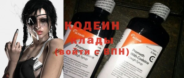 шишки Бородино