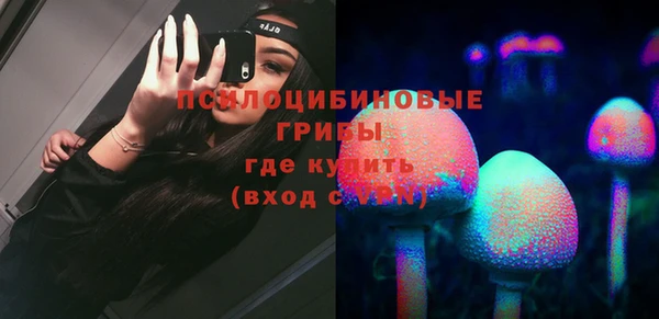 шишки Бородино
