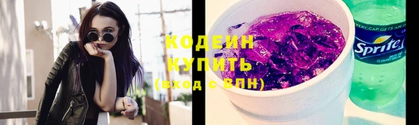 шишки Бородино