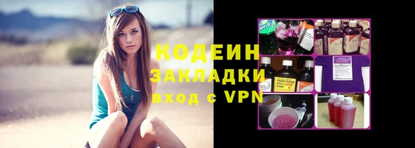 шишки Бородино