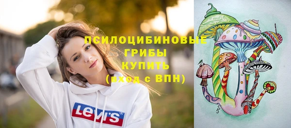 гашик Ступино