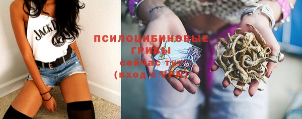 Альфа ПВП Струнино